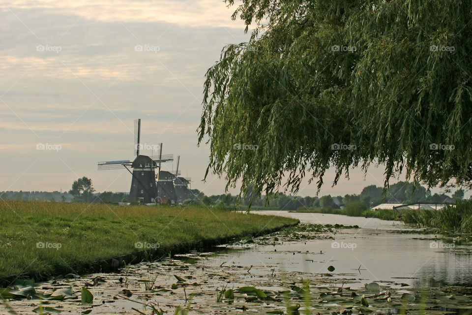 Water, No Person, Tree, River, Landscape