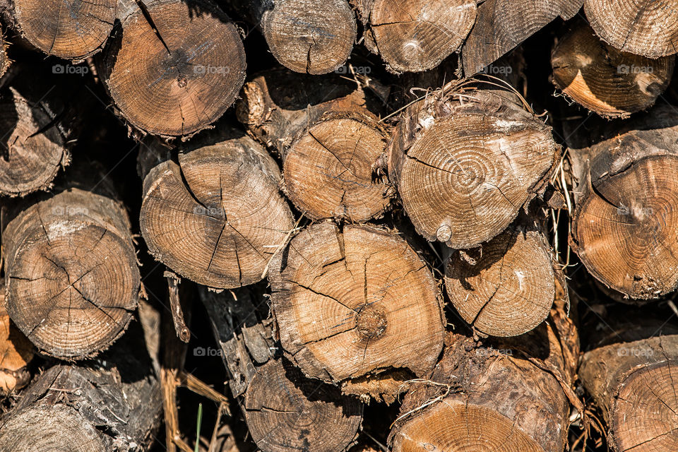 Full frame shot of wooden logs