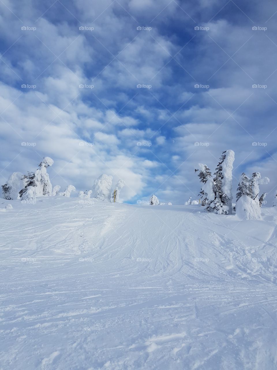 Ski run with blue cloudy sky, Big White, Canada