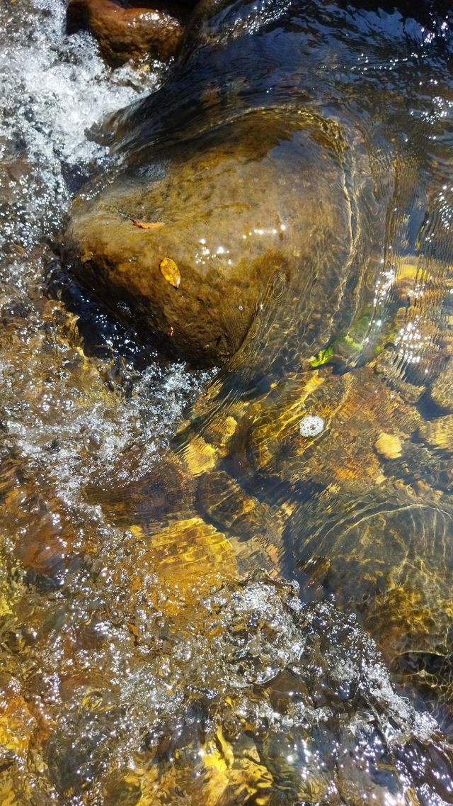 water path