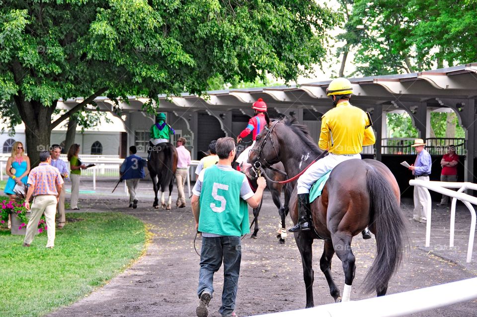 Belmont Park Paddock. Rider up! Going to the post from the paddock at Belmont park. Thoroughbreds are in line and ready to race.
Fleetphoto