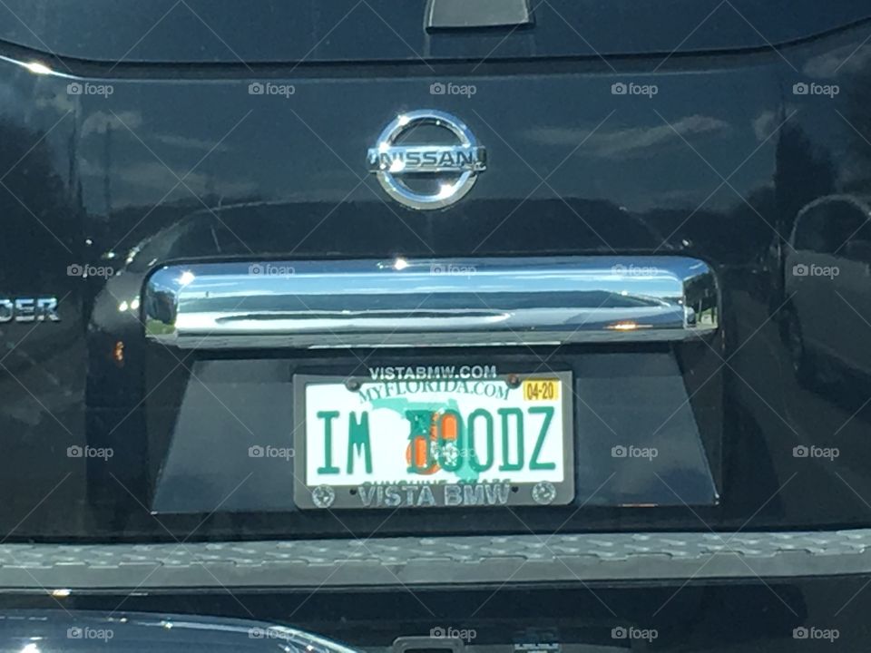 Unique Florida license plate collection IM DOODZ