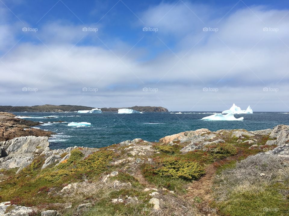 Icebergs in Twillingate, Newfoundland Labrador 