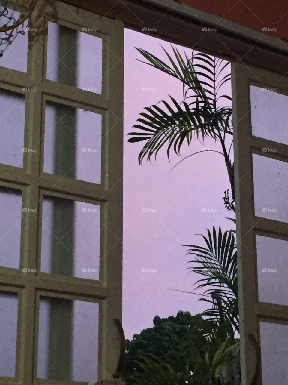 Lavender Sky Outside