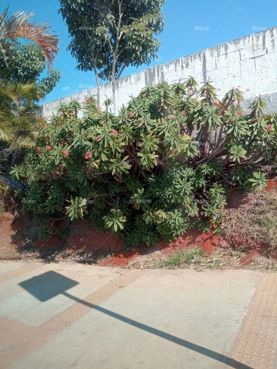 A Natureza e seus encantos!