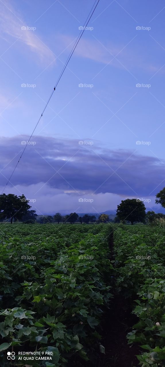 Descending on top of the mountains, the change is very beautiful and the mind starts to feel. Looks very beautiful.
Look more beautiful on rainy days.
It seems like a paradise looks very beautiful. Like heaven on earth