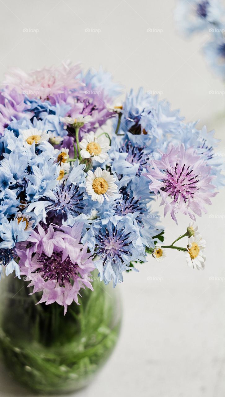 Bouquet of cornflowers in a vase