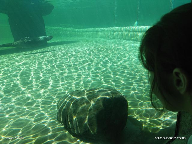 Under the water