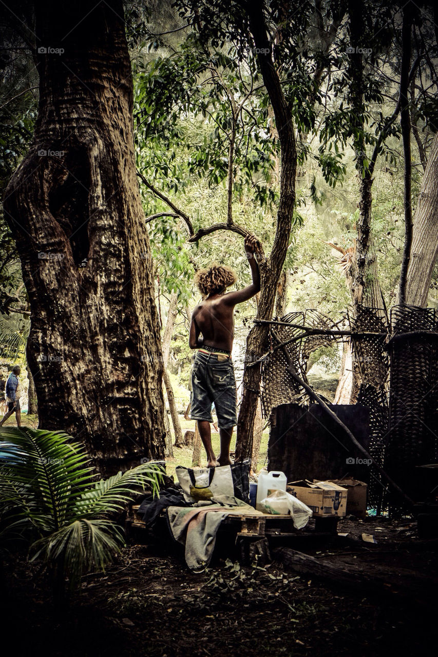 Natural setting in Isle of Pines