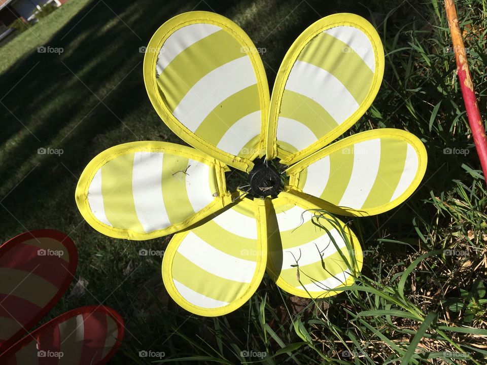 Yellow pinwheel 