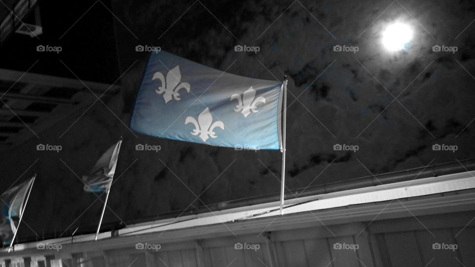 Fleur De Lis flag New Orleans, LA