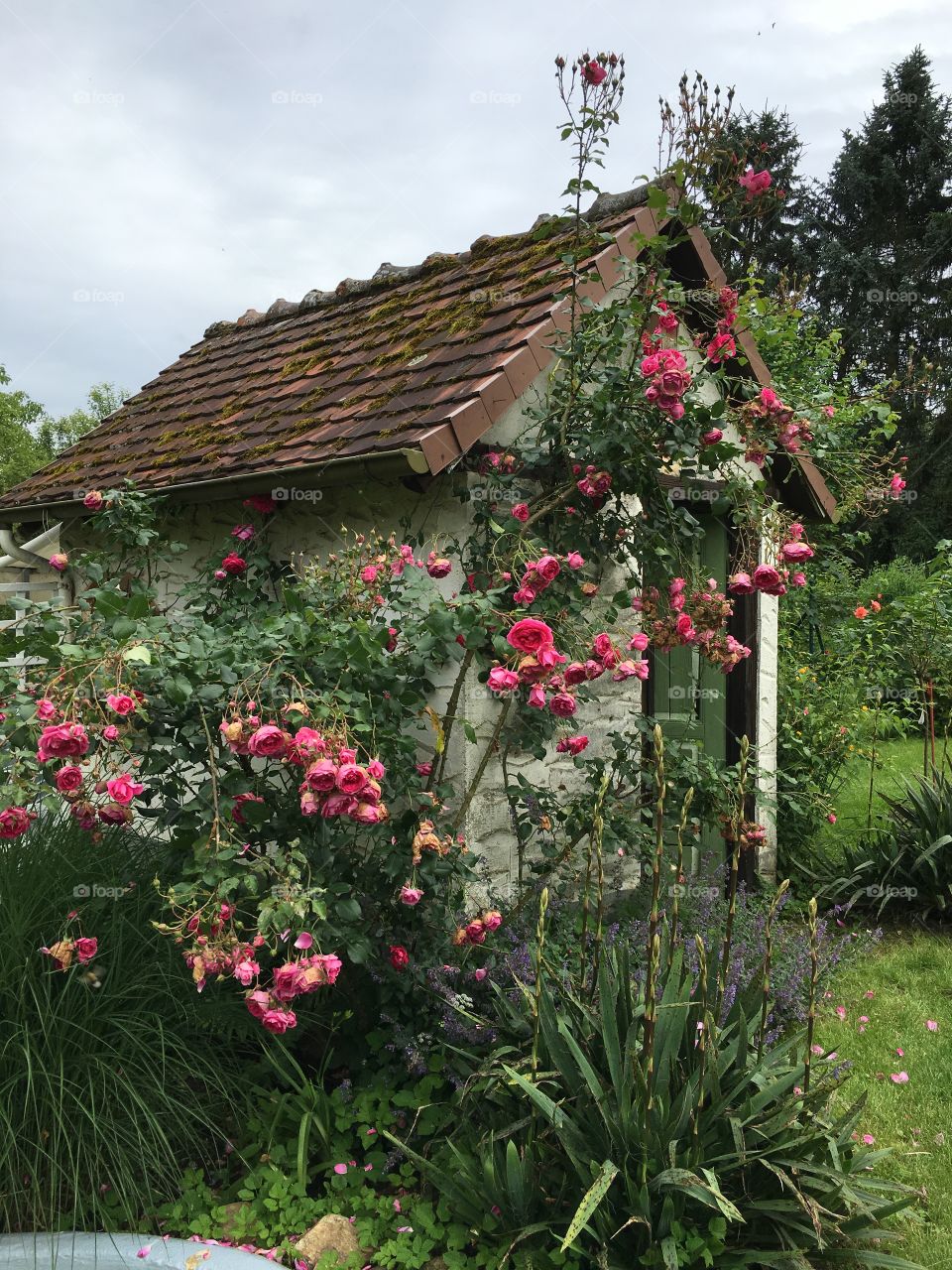 Tiny Garden House