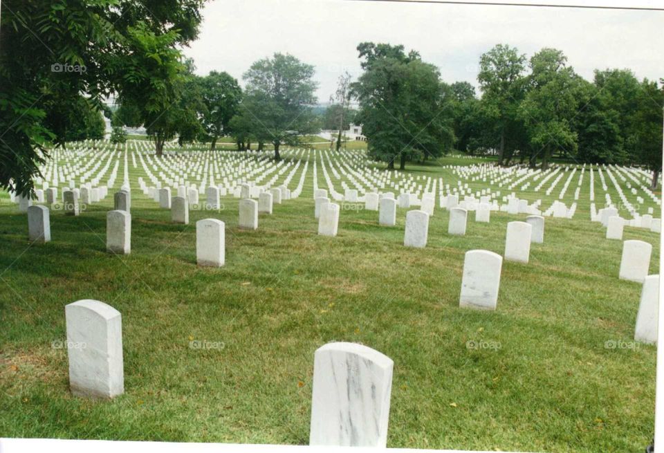 Arlington Cemetery thank you is not enough