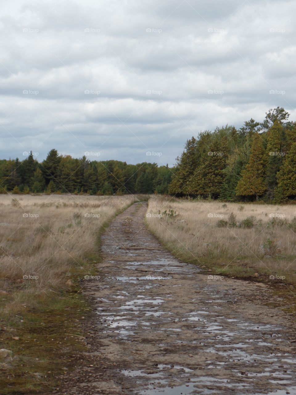 Drummond Island, Michigan 