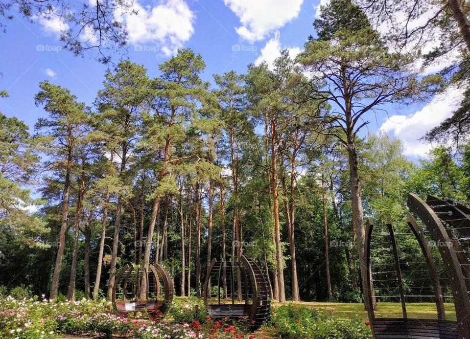 Forest brothers. (Lithuania, July, 2019).