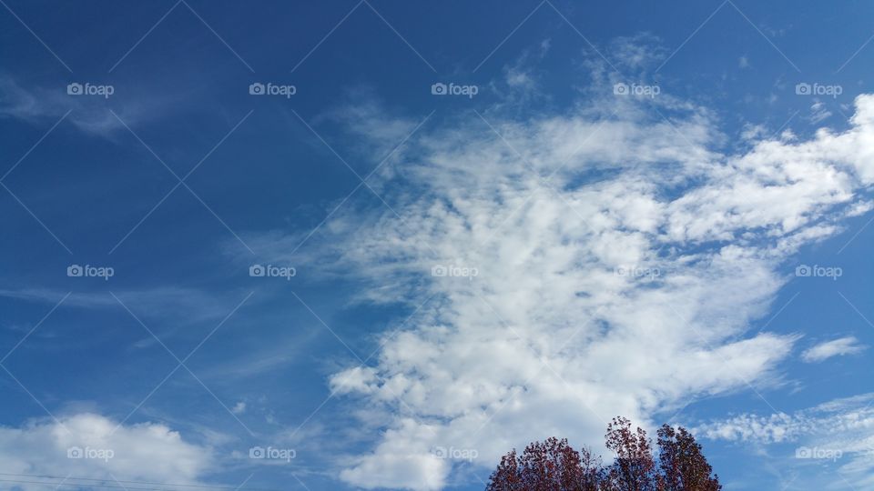 Blue sky with clouds and tree