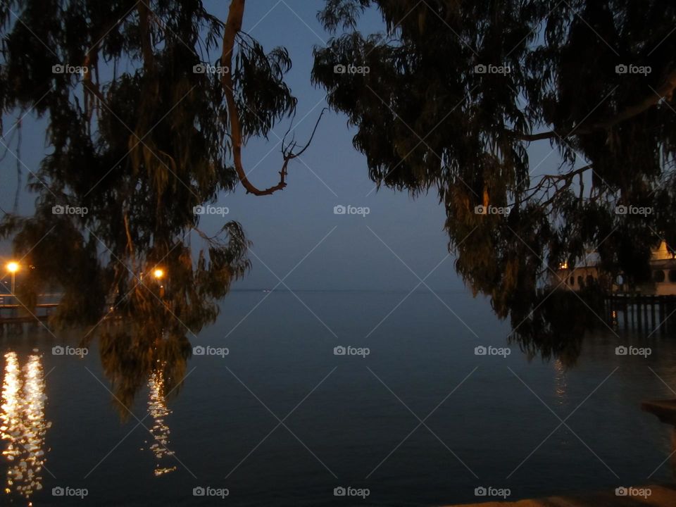 Akəa,  Apsny.  "Tree of love" Sukhum, Abkhazia