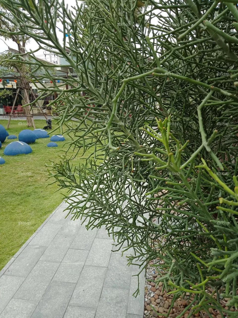 Walk way