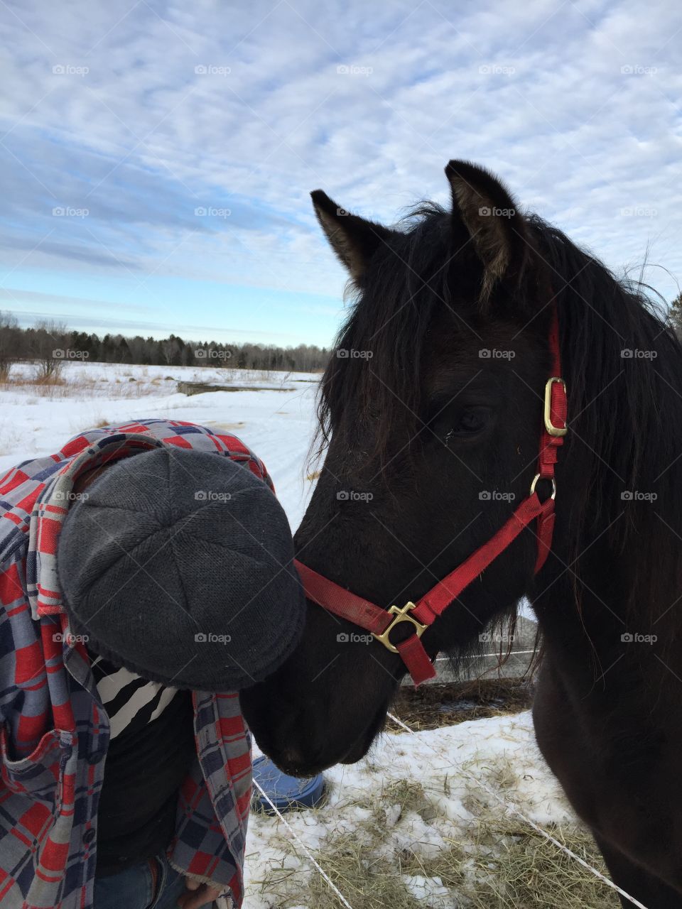 A Tender moment Between horse and human horses know he really loves them and aren’t afraid to give the love back