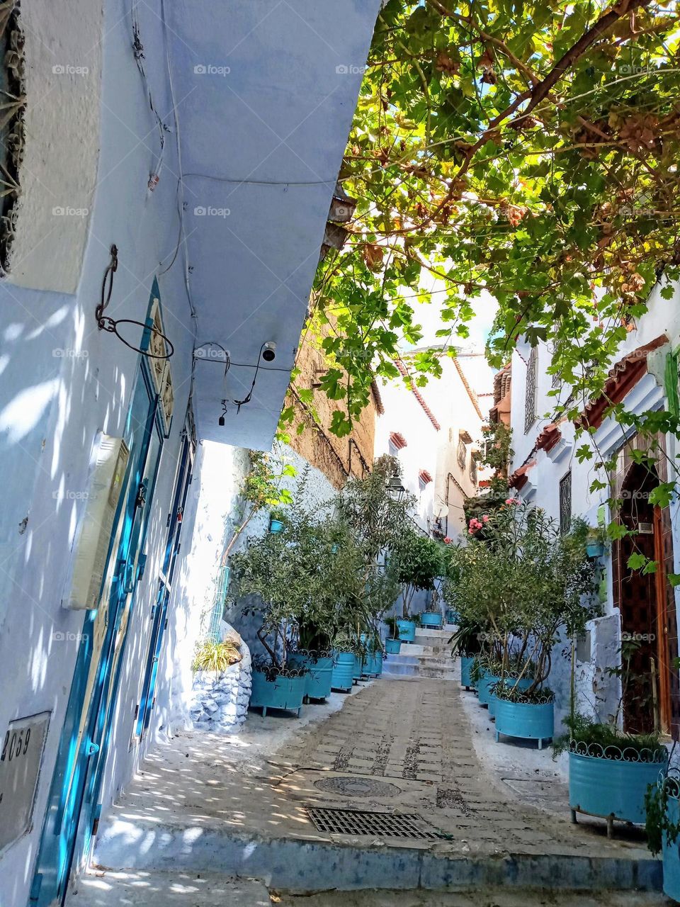 Alleys of chefchaouen city in morocco