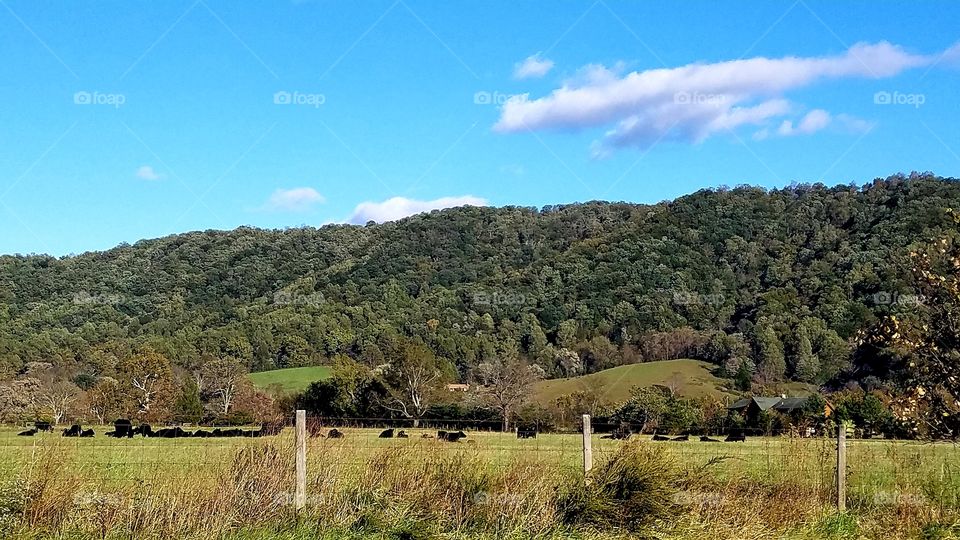 Another photo of a Mountain landscape in Virginia. This is a beautiful place. :0)