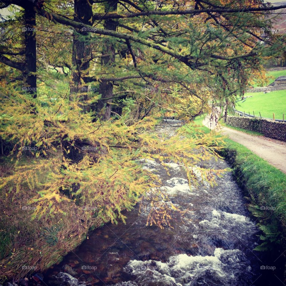 Rain Fall River . After a rain fall in the Lake District 