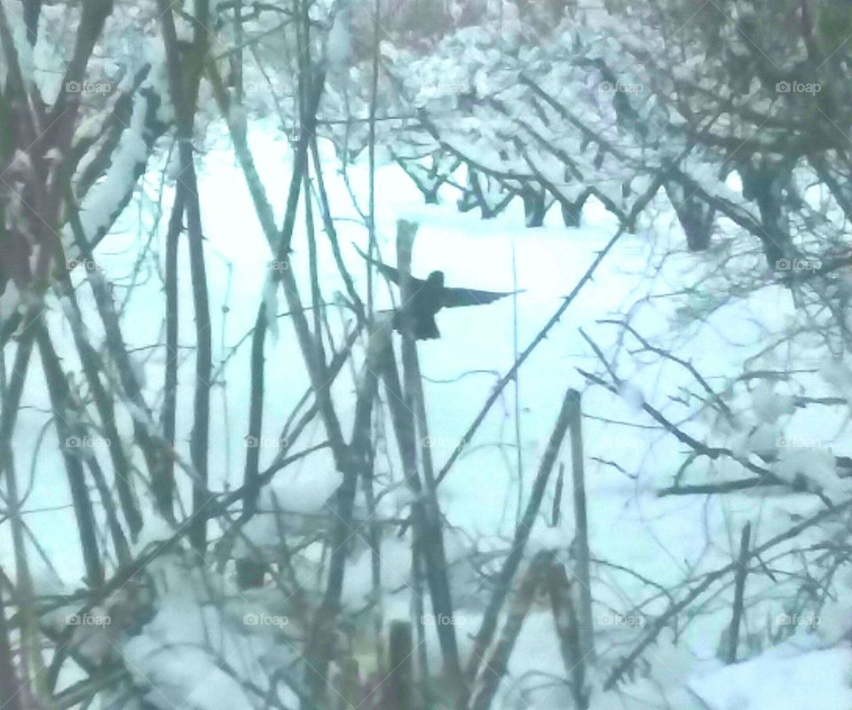 s came from the south expecting Spring weather!