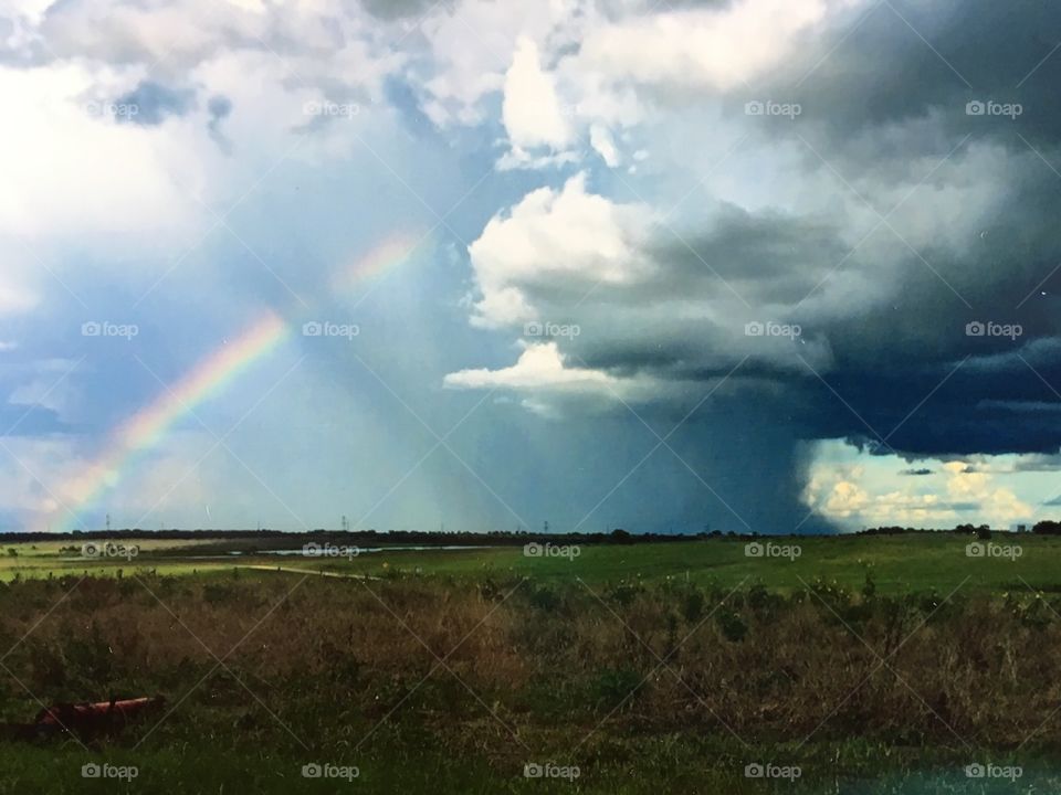 Mother Nature confused !