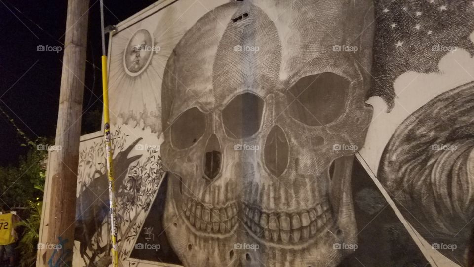 Skull Mural, Wynwood
