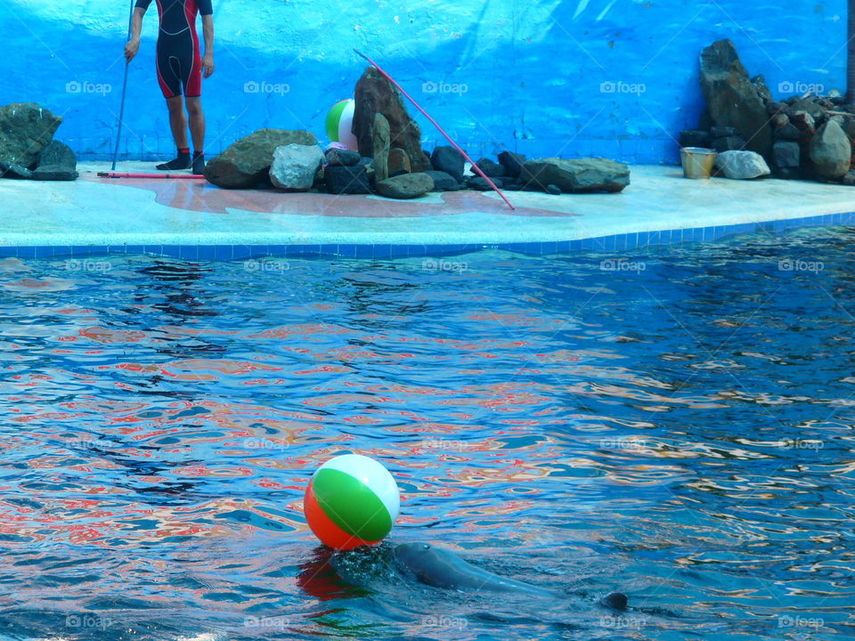 Water, Swimming, Ocean, Sea, Travel