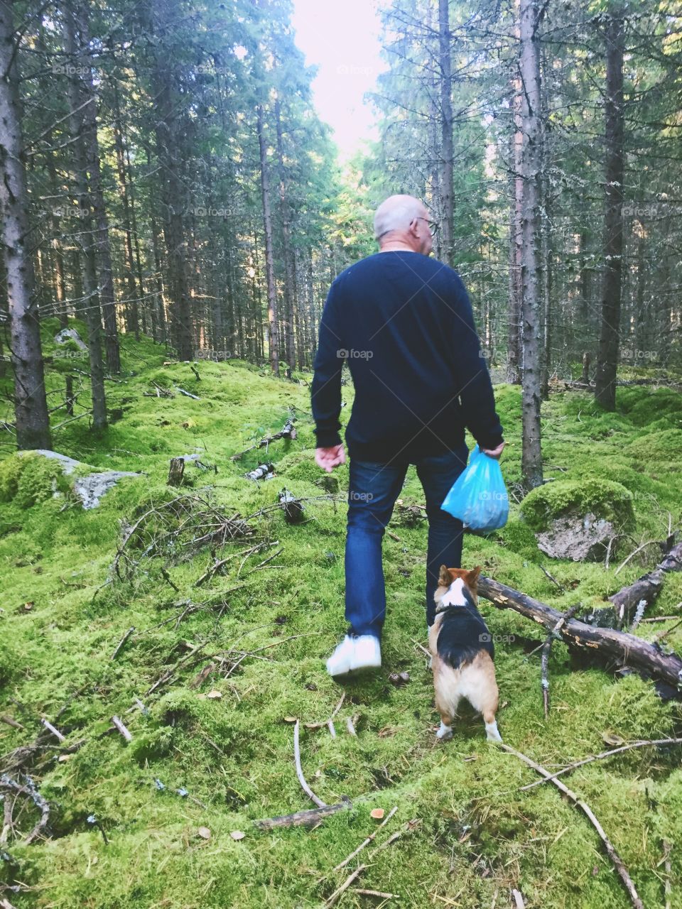 Man and a dog searching for mushrooms in the forest