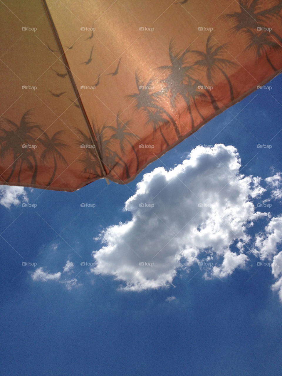 Beach umbrella against the sky