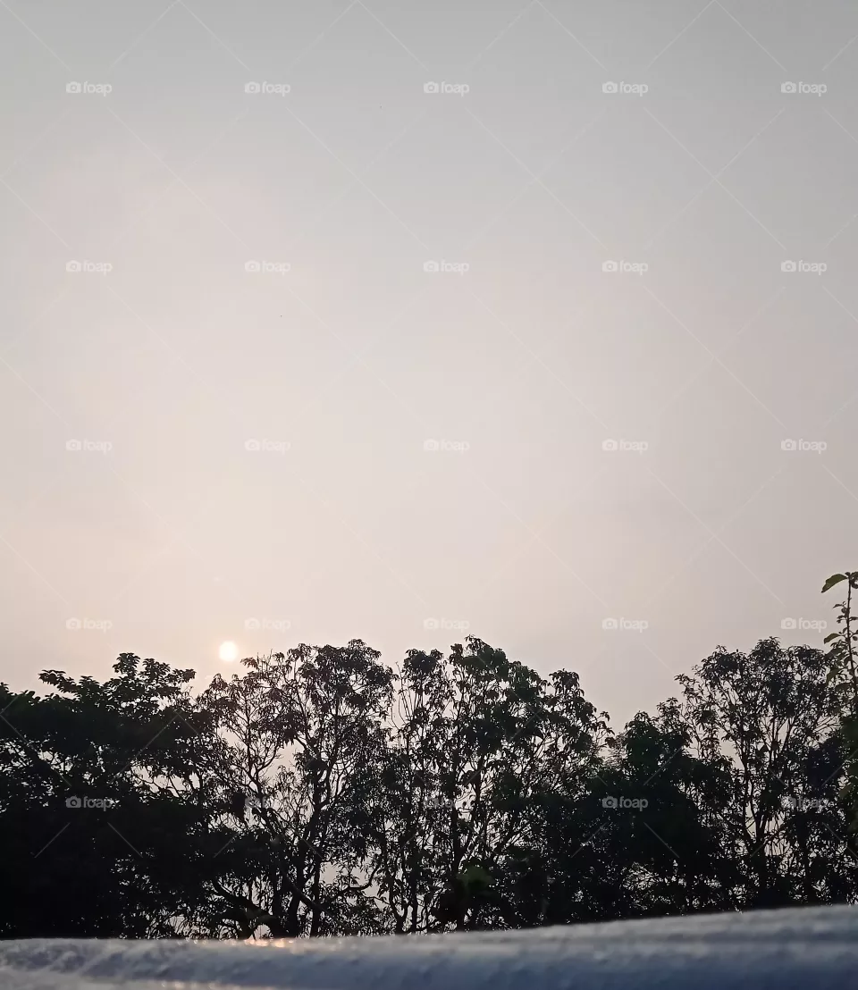 best sky photo with tree for wallpaper