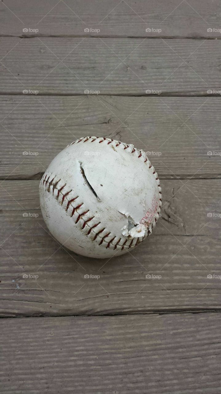 My dog, Brinx, likes to chew up baseballs. She had this one for one a few moments.