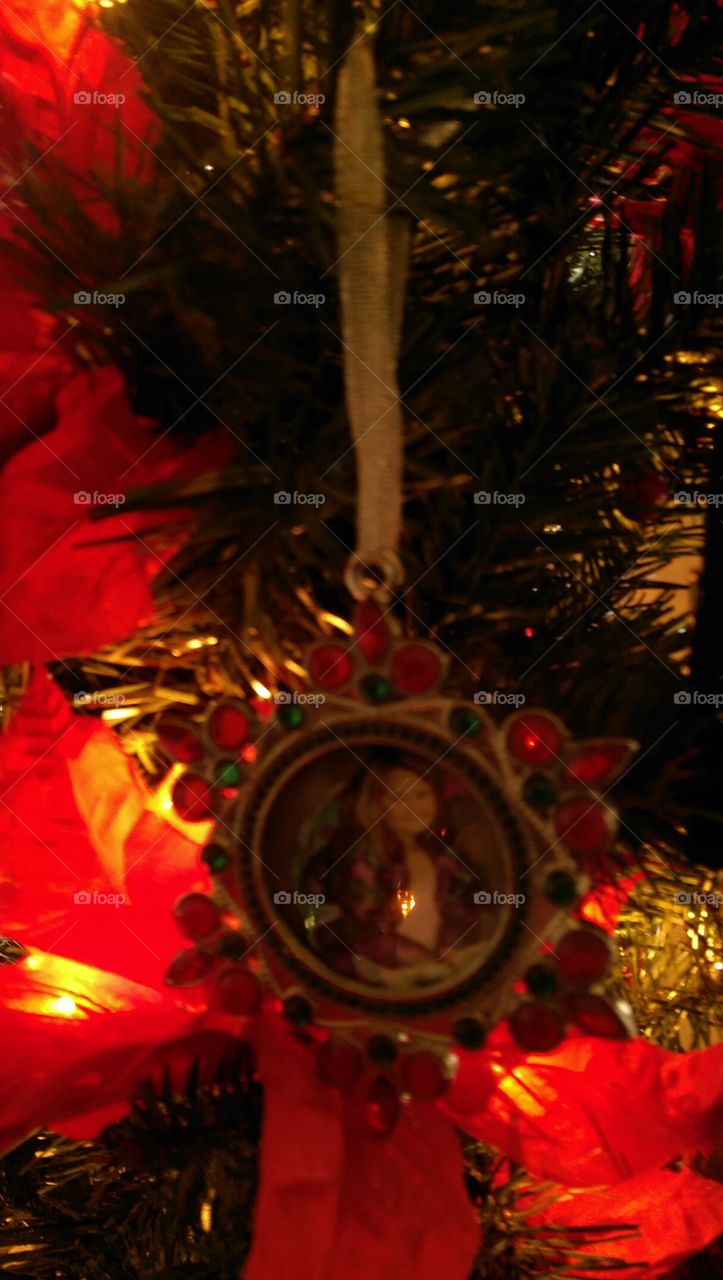 Christmas, Celebration, Winter, Gold, Decoration