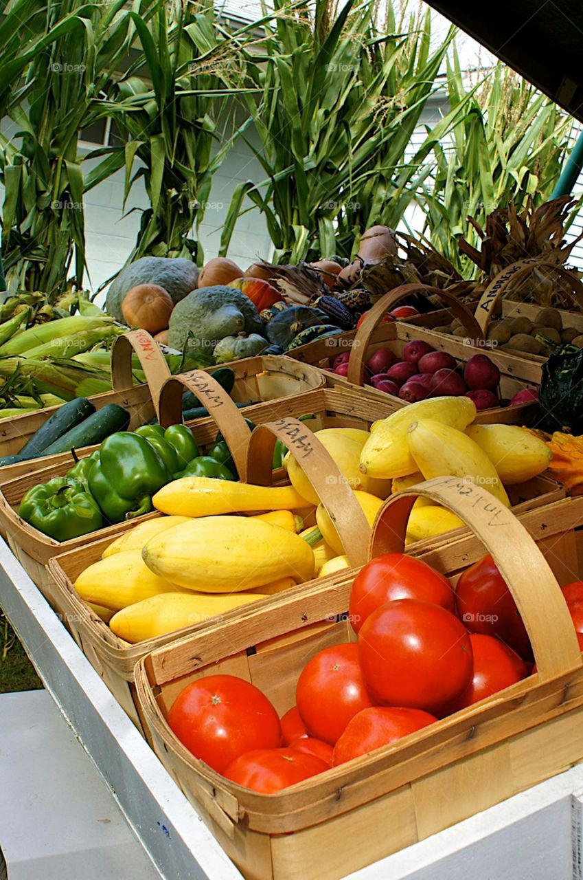 Farmers Market. Vegetables 