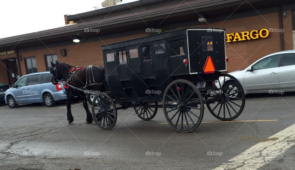 Fargo Amish  buggy