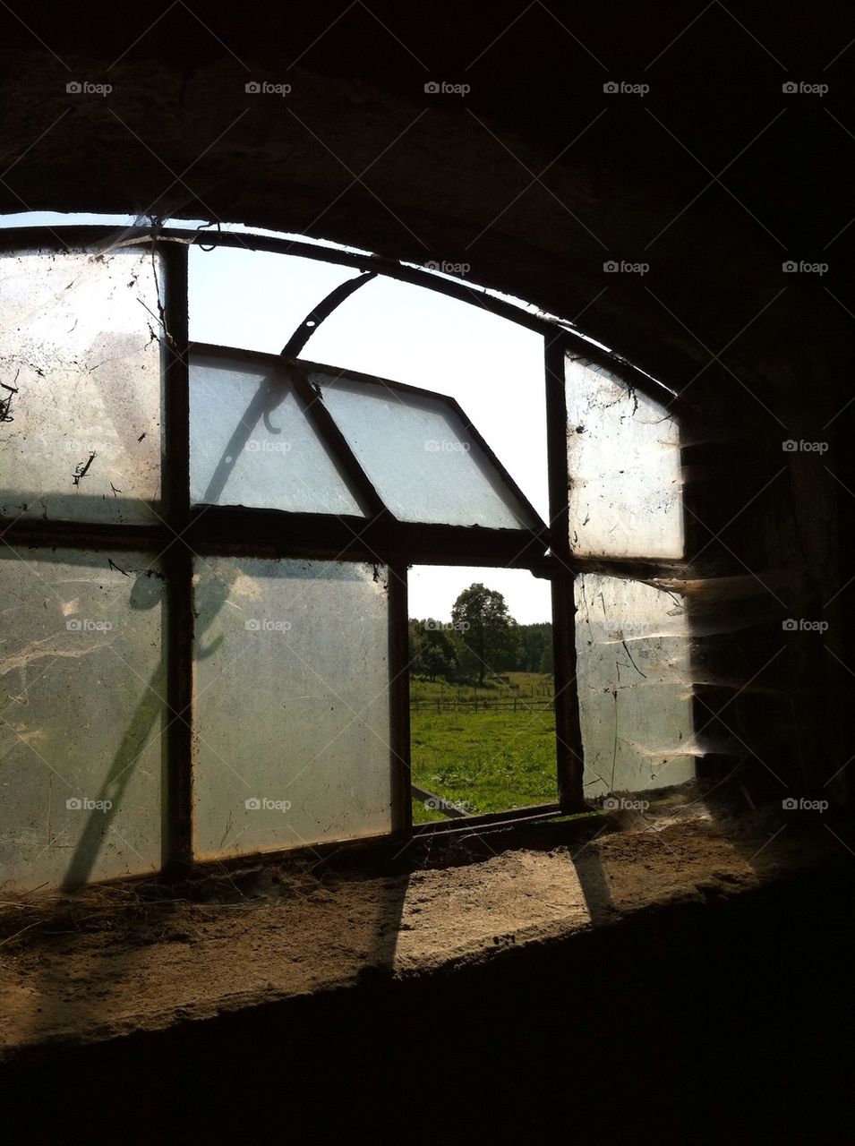 sweden window spiderweb fönster by smartini65