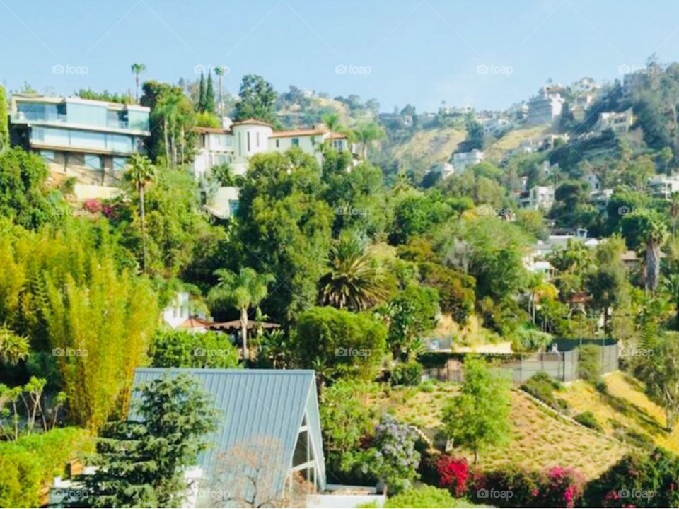 Hidden Hills | Beverly Hills, CA