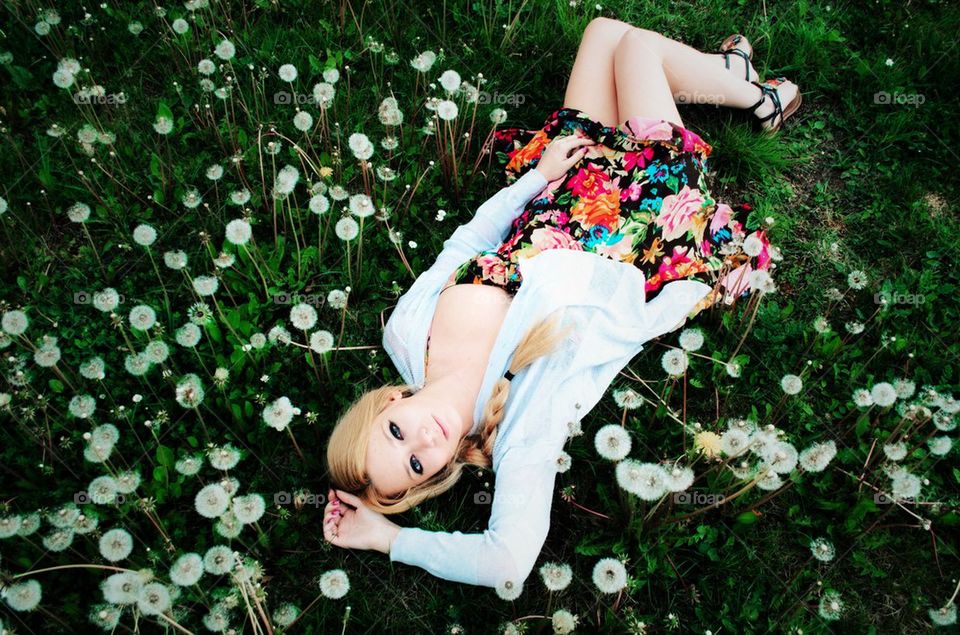 Amongst the Dandelion