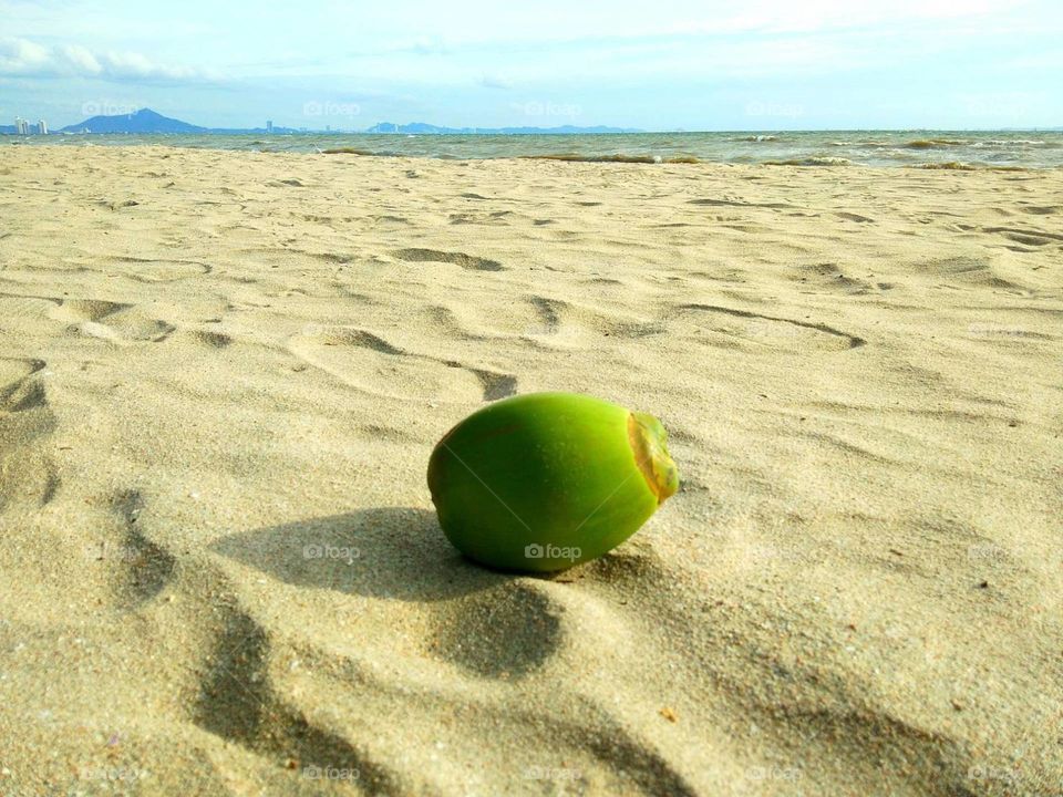 Green Coconut on the beach. 