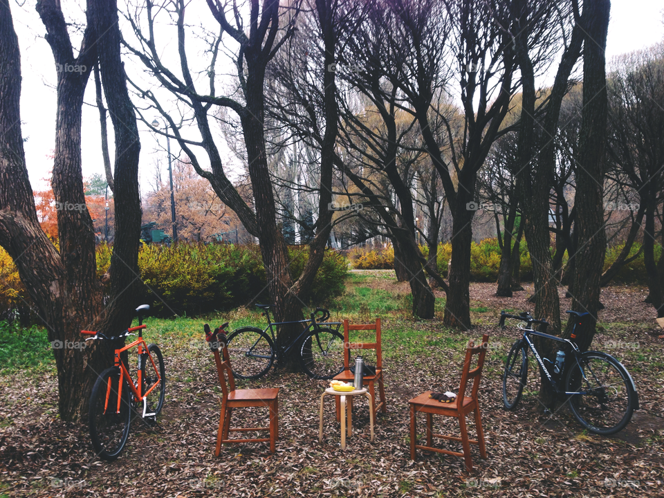 Three bicycles in the park standing near trees and chairs prepared for cyclists