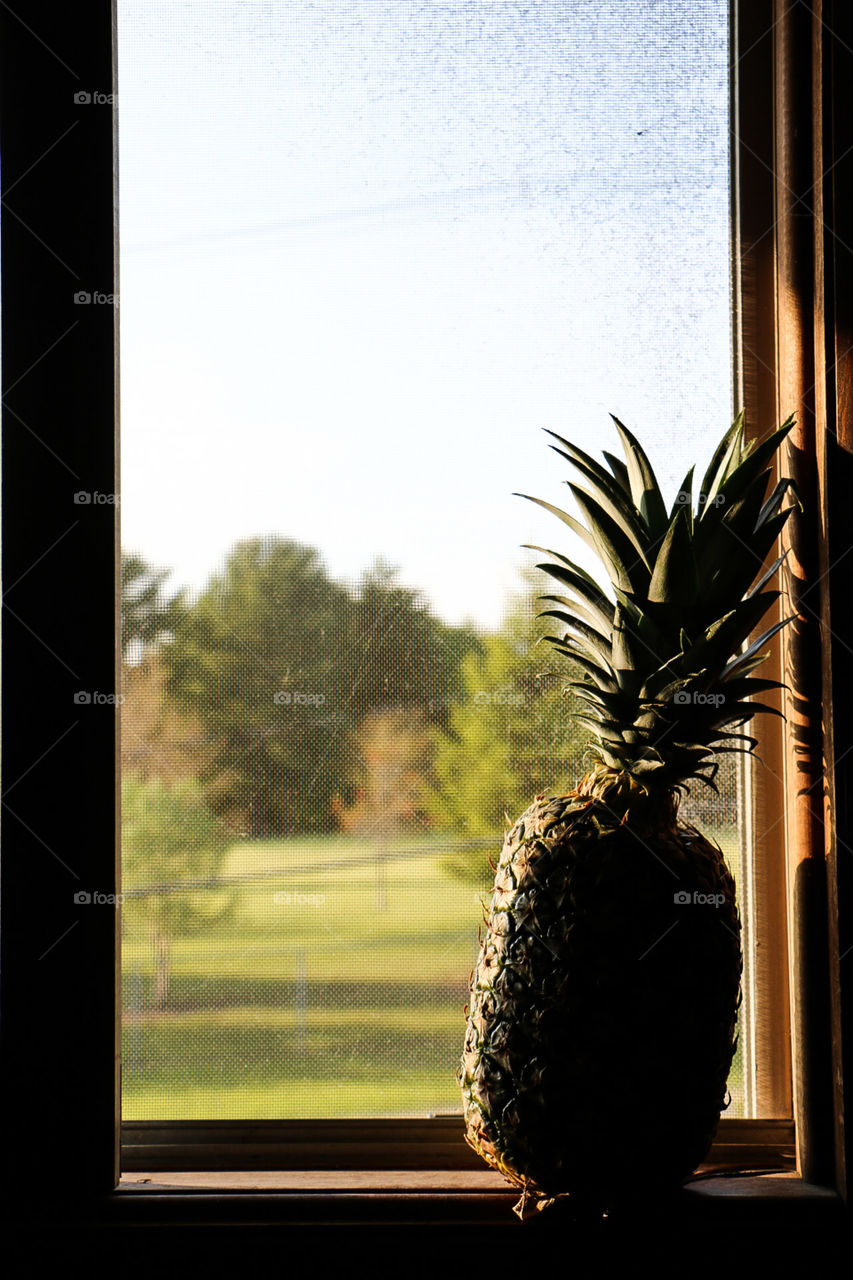 pineapple . close your eyes and imagine the smell of a pineapple sitting in the window with the wind blowing in. 
