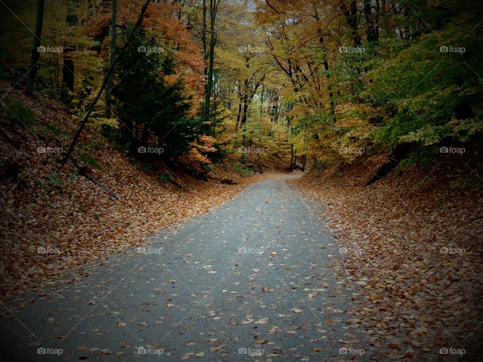 Northern Michigan 