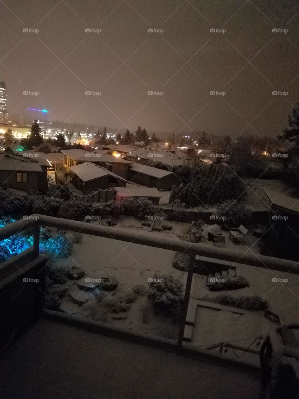 snowy nightscape