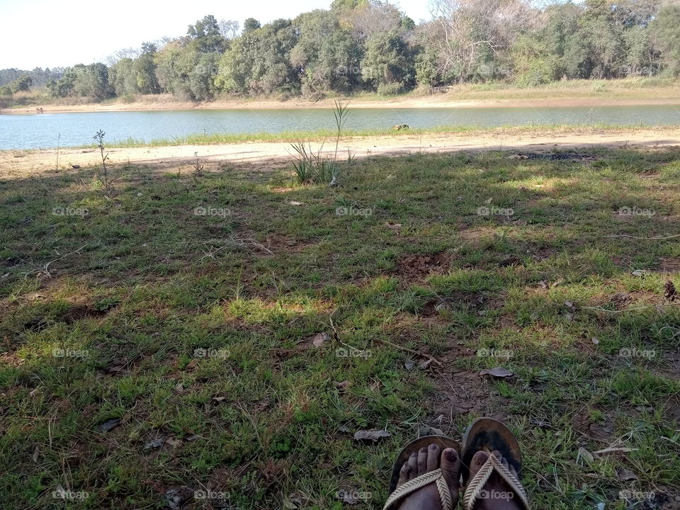 Contemplando a Natureza