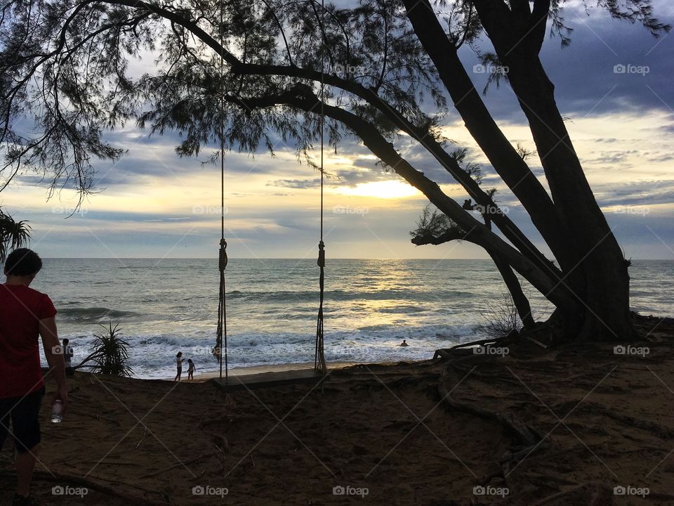 Seascape tree swing in sunset
