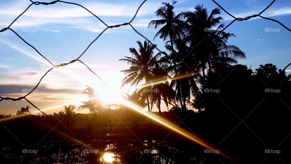 Matahari bersinar di pagi hari di belakan pagar kawat
