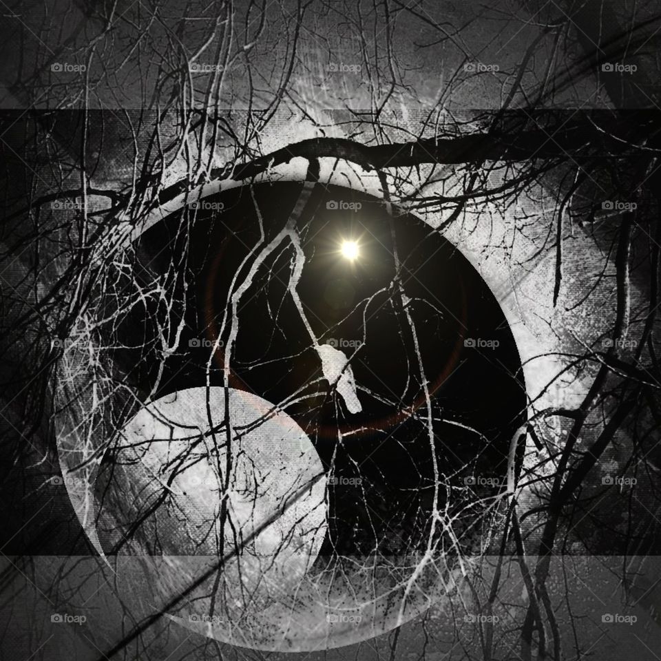 Entangled by the gray