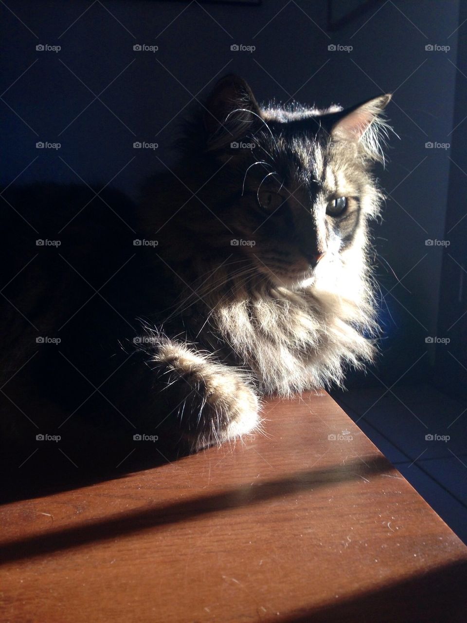 Looking into the Light